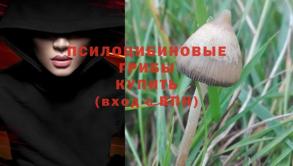 а пвп мука Алексеевка