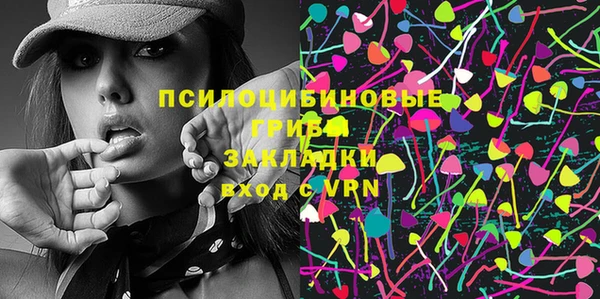 ешки Алексин