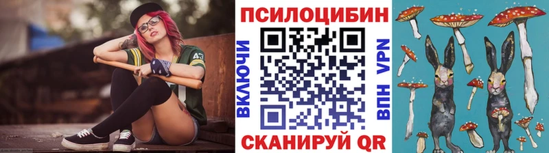 Галлюциногенные грибы GOLDEN TEACHER  где купить наркоту  Гусь-Хрустальный 